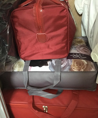 【我的婚期】+20170212