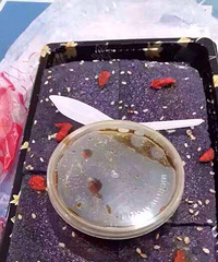 �����ʲô ��·����������