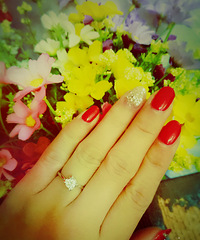 �����в���һ��Ľ�ָ