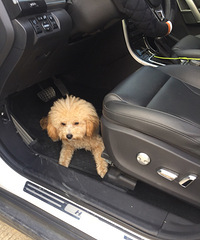 ��������������������ϧ