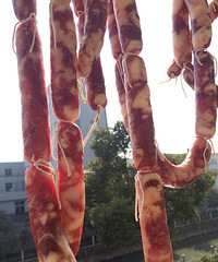 ���Ƕ���ô��Ϳ�ʼ�ﱸ�������