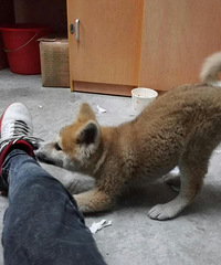 ����ܵ�ת��