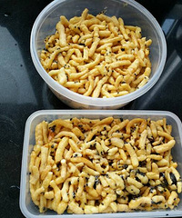 ���ɳ������Թ���  û�Թ�����������