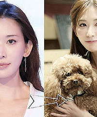 90���������﷢�� ���Ƕ���׷���ķ���