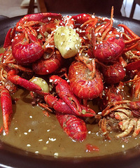 ����  �����Ҿ�����óԵ�С��Ϻ��