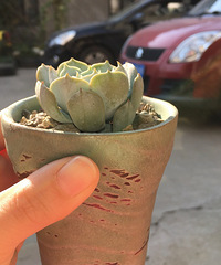 �����ҵ�����