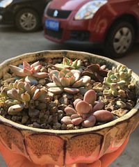 �����ҵ�����