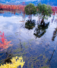 ���ĺ�����