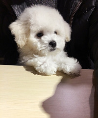 ���ܵ�һ��˯