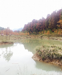 ����˵����Ů������ò ���Ҿ����Ǳ�����