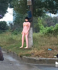 ��ô�ý�����������