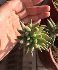 ��������һ��