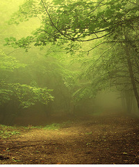 91�걾��MM 168cm ������