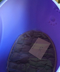 ���Ϲ���