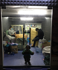 �����Ȳ�����