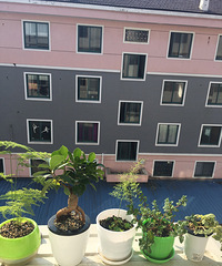 С���������᲻���е����