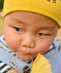 ���ӻ���~