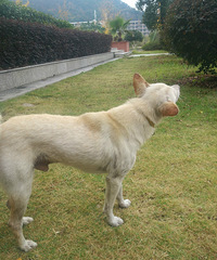 ̨��ѧԺ�������˹������������