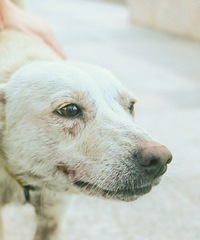 ̨��ѧԺ�������˹������������