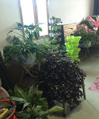 �캮�ض����ܿ��ˡ���