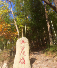 茶辽古道  赏枫最当时