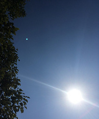 ���������������̫����