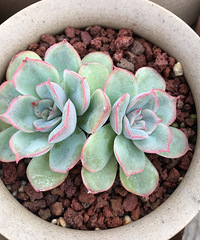 �����д���Ϳ�����������