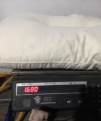 300Ԫת��Nittayaѩ��ƽ���齺��1�ԣ�ԭ��599