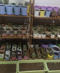 ����ȫ���ᵽ�¼Ұ����仧�ˣ�ʣ�����ͺú�