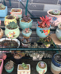 �ص�����С����