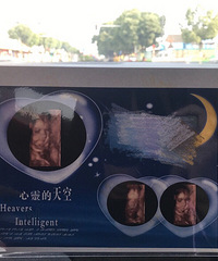 ����ϣ���㽡������ƽƽ�����ĳ������ɰ���