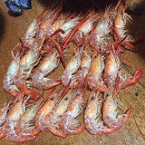 [�Ƽ�]�������򷿣�һ�����ڲ�����ѧ��