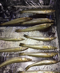 ����ʲô�㣿