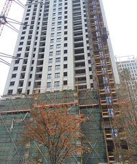 ����Ů���ӣ�����װ��Ǯ�����Լ�˽��Ǯ����