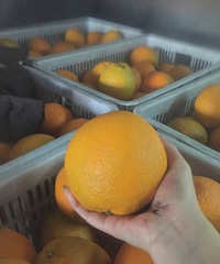 ���ڽ���������ȿ�����������