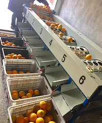 ���ڽ���������ȿ�����������