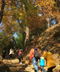 年年岁岁叶相似 岁岁年年人不同。