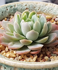 ���춬�����Ƿ������Ǵ����������꣬�����