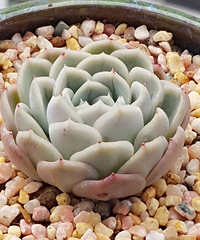 ���춬�����Ƿ������Ǵ����������꣬�����