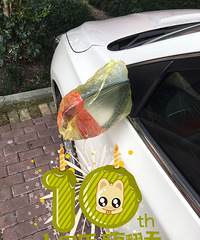 ���Ӿ����������