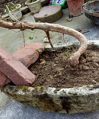 Ѱ�һ��ѣ��辰