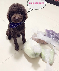 ���ǲ���~������