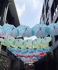 12��31��-1��2�գ��������չ����