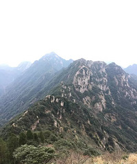 �����ȹŵ�������