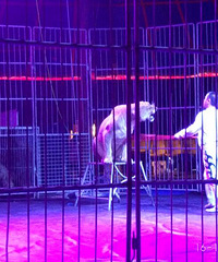 19¥�͵�Ʊ �ܲ���