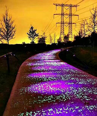 ҹ�����г���