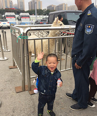 ����Ҫ��������Ʊ��Ԫ�����ú�ȥ��cosplay