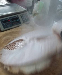 "硬擂圆的(新版本)新做法"