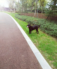 �����ˣ������������