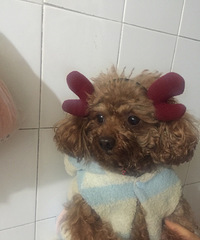 ������ô��������գ��ѵ�Ҳ֪���Լ���